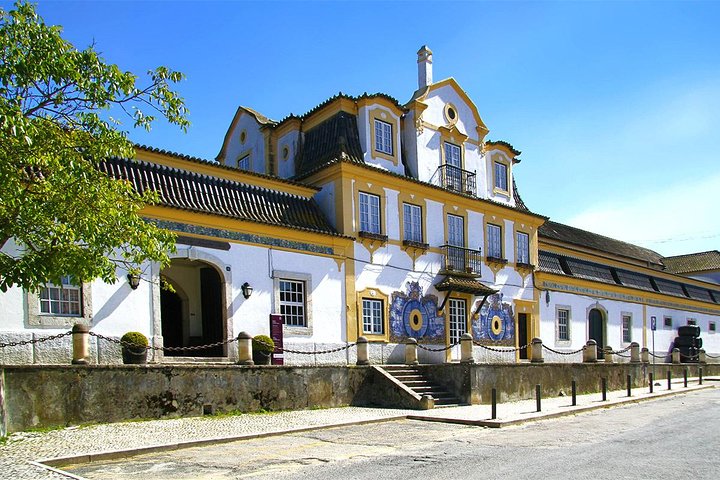 Setúbal Private Full Day Wine Tour with Tasting and Lunch at the Beach - Image 1