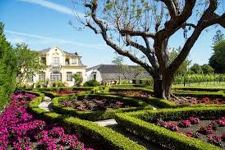 Setúbal Private Full Day Wine Tour with Tasting and Lunch at the Beach - Image 3