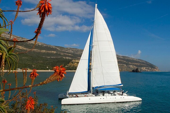 Setúbal Private Tour - Including Dolphin Watching - Image 4