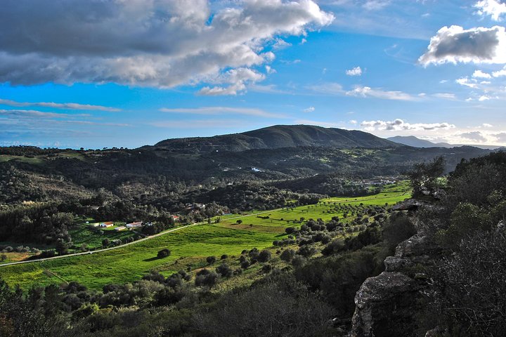 Setúbal Private Tour - Including Dolphin Watching - Image 5