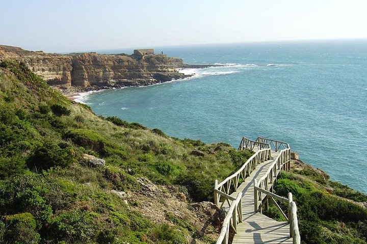 Sintra, Ericeira & Mafra - Image 5