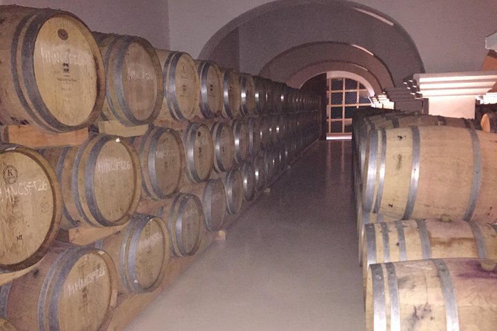 Small group Day Trip to Evora and Monsaraz from Lisbon with wine tasting - Image 2
