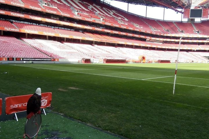 Stadium of Benfica Experience and Museum Visiting - Image 2