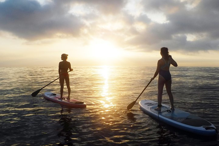 Stand-up-Paddle Arrábida - Image 1