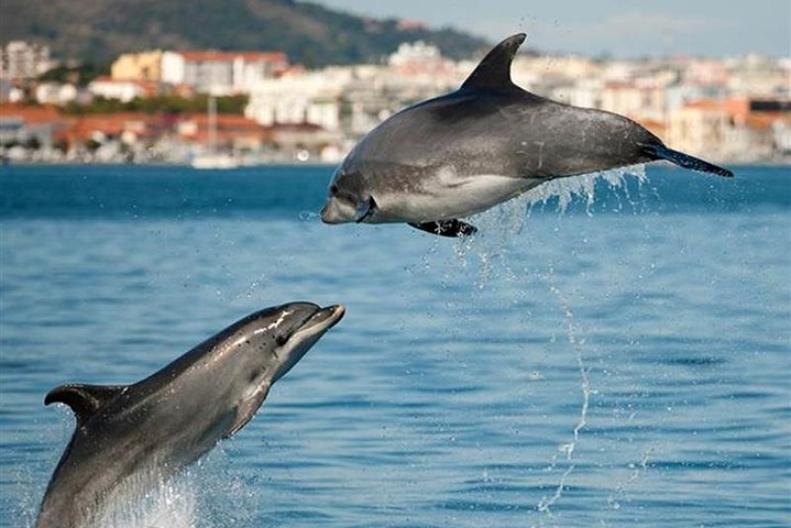 Sustainable - ECO Tourism - Image 3