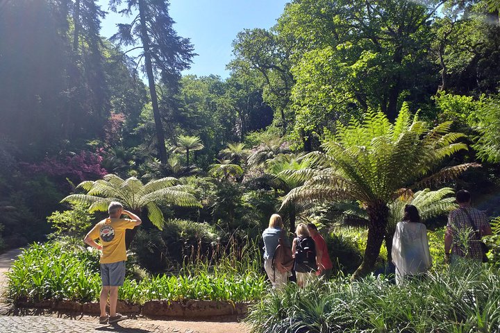 The best of Sintra - Private Tour from Lisbon - Image 4