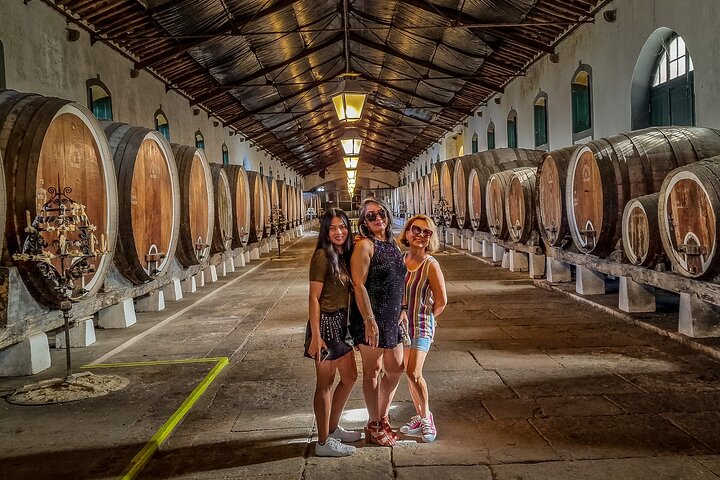 The Lost Wines of Lisbon Private Tour With Wine Tasting - Image 4