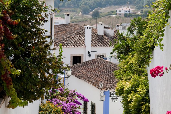 Tour of Fatima, Batalha, Nazare, Obidos - Premium Tailor-Maid Experience (8h) - Image 4