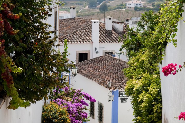 Tour of Fatima, Batalha, Nazare, Obidos-Tickets included,Private Experience (8h) - Image 4