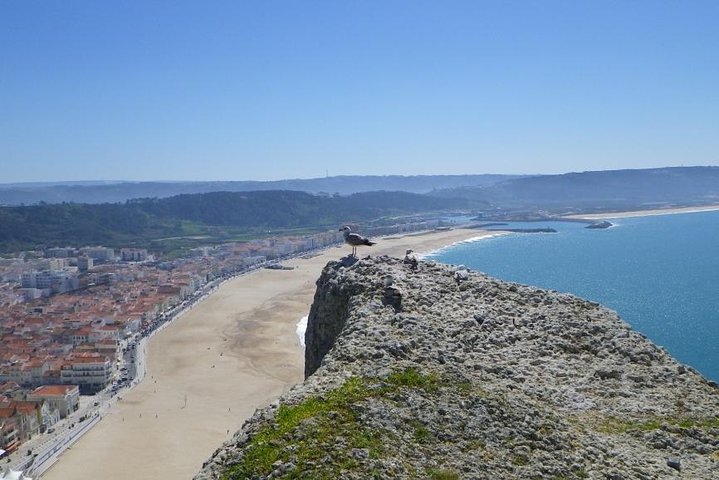 Tour to Fátima - Batalha Monastery - Nazaré and Óbidos - Image 5