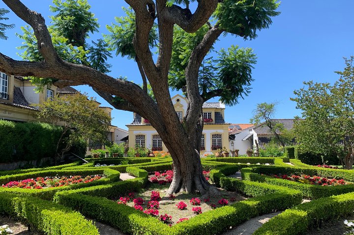 Tour visit and wine tasting to two cellars in Setúbal half day - Image 2