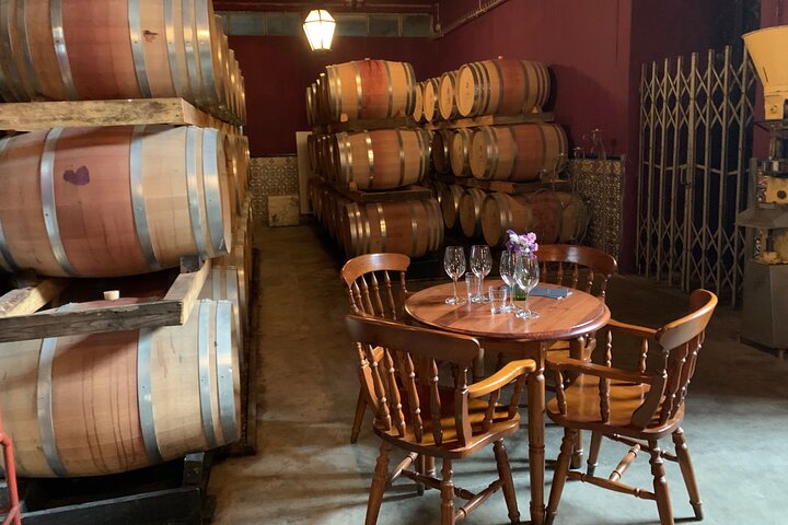 Tour visit and wine tasting to two cellars in Setúbal half day - Image 1