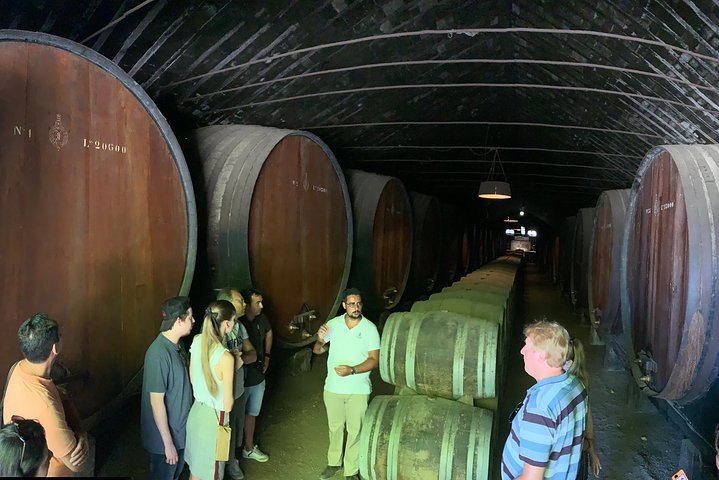 Tour visit and wine tasting to two cellars in Setúbal half day - Image 4