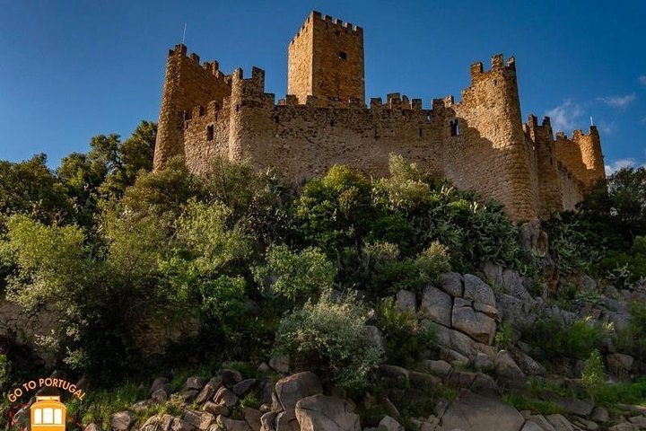 Tout Knight Templar - Image 4