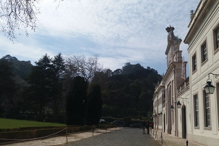 Transfer & Micro Tour of Porto - From Lisbon & Vice versa - Image 1