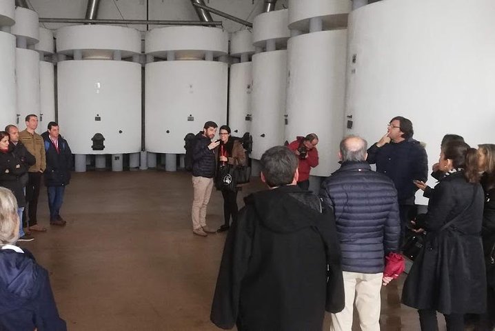 Wine Tasting and food Experiences region of Lisbon - Setúbal - Image 4