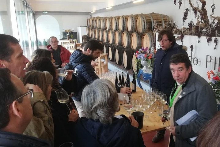 Wine Tasting and food Experiences region of Lisbon - Setúbal - Image 1