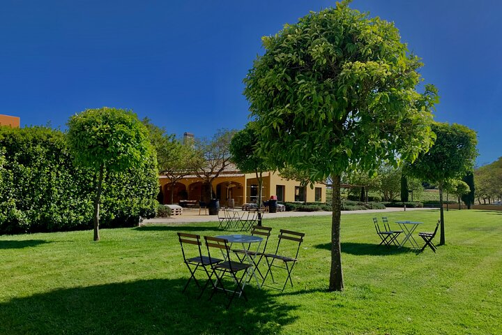 Wine Tasting private tour - Image 1