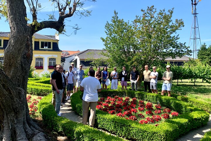 Wine Tasting private tour - Image 5