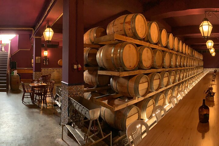 Wine tasting with cheeses and regional sweets from Setúbal Half day - Image 4