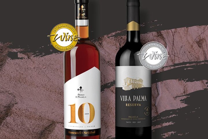 Wine tasting with cheeses and regional sweets from Setúbal Half day - Image 5