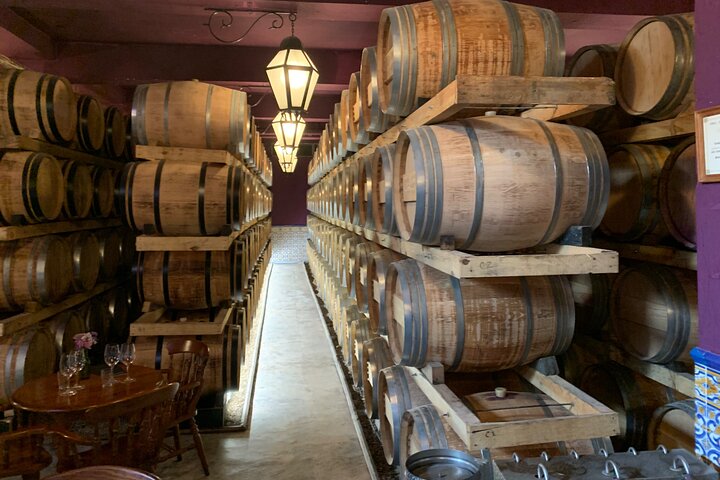 Wine tasting with cheeses and regional sweets from Setúbal Half day - Image 3