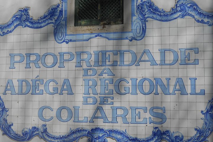 Wine Tour & Lunch By the Sea in Sintra - Image 3
