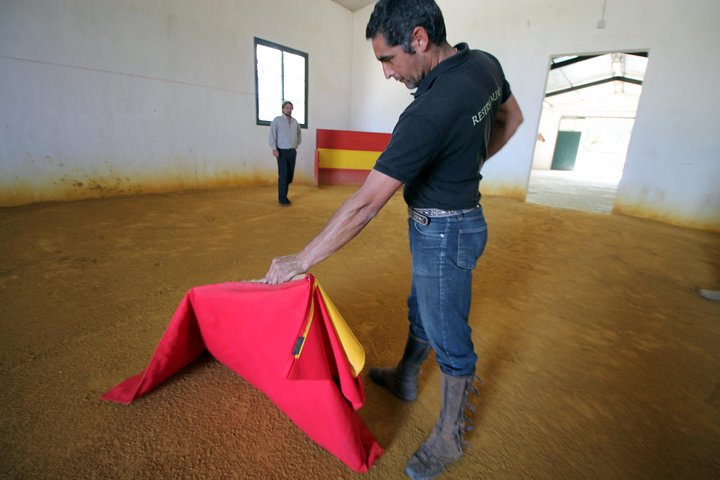 Andalucia Bull and Horse Farm and Ronda Private Tour from Malaga - Image 4