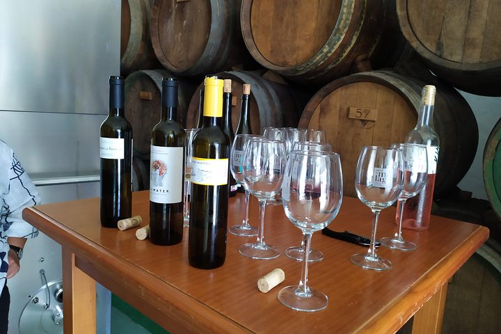 Axarquia VIP Wine Tour with Gourmet Winery Lunch Experience - Image 3
