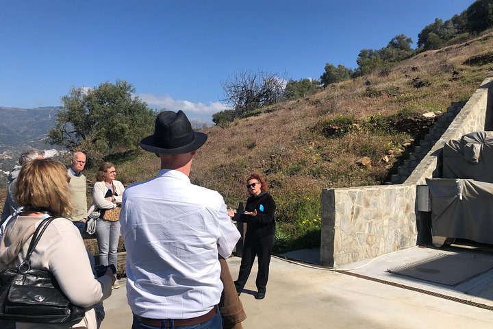 Axarquia VIP Wine Tour with Gourmet Winery Lunch Experience - Image 5