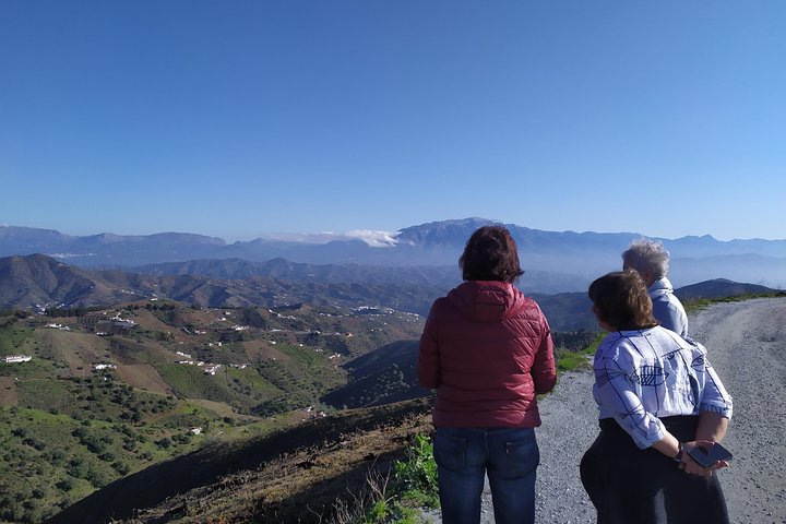 Axarquia VIP Wine Tour with Gourmet Winery Lunch Experience - Image 2