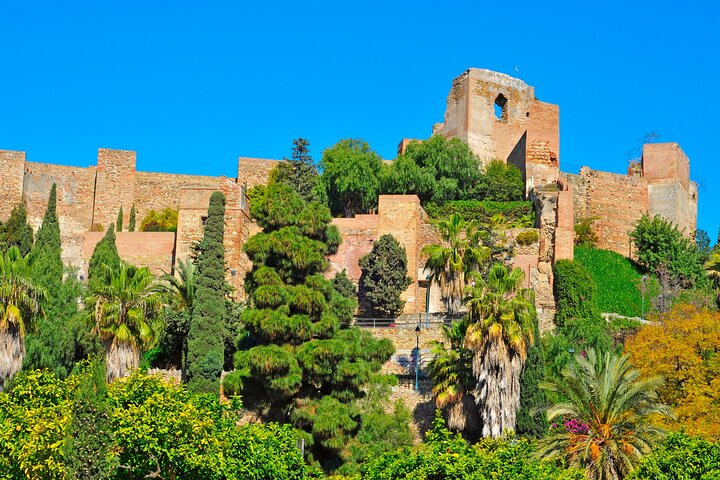 Full Day Private Shore Tour in Malaga from Malaga Cruise Port - Image 1