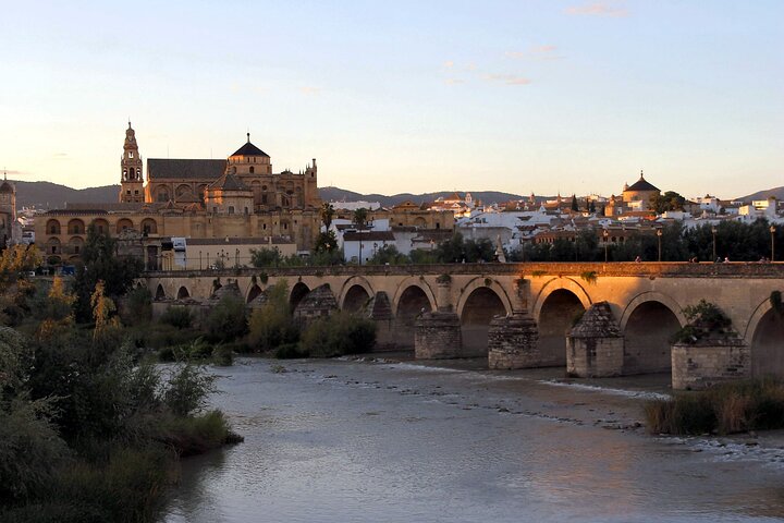 Full-Day Private Tour Cordoba and its Mosque from Malaga - Image 3