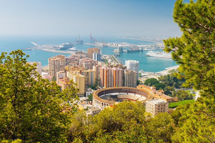 Half-Day Private Taxi Tour to Malaga Historic Center - Image 1
