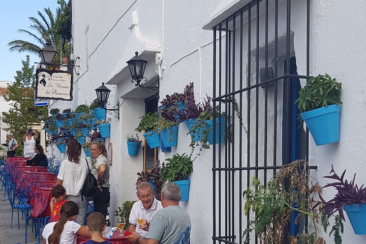 Malaga private Shore Excursion: Malaga Highlights & Mijas White Washed Village - Image 2