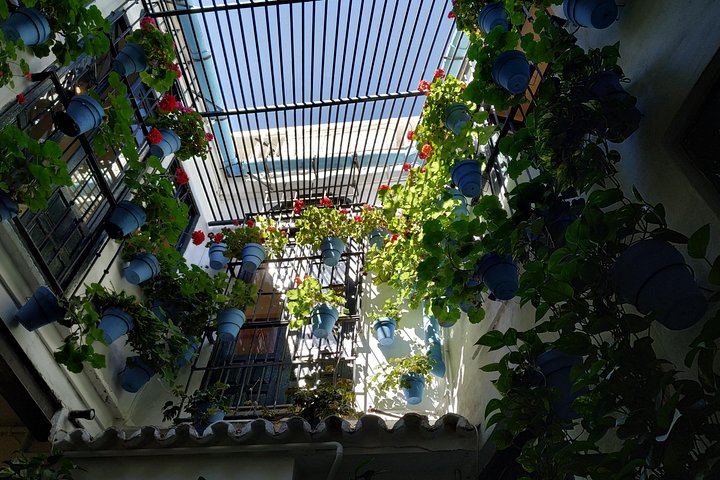 MALAGA PRIVATE TOUR - by OhMyGoodGuide - Image 3