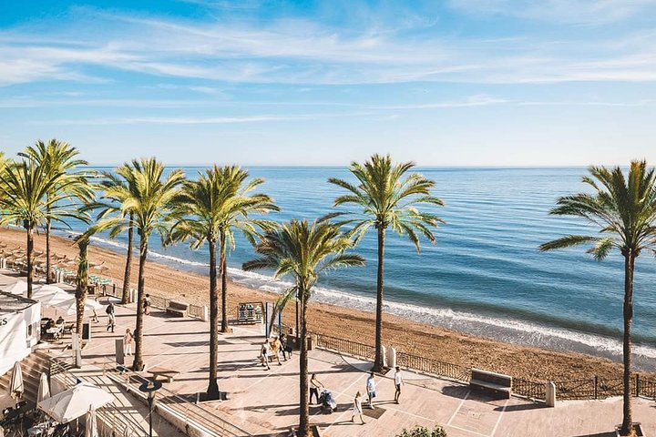 Malaga Shore Excursion: Malaga highlights & Marbella small-group  - Image 3