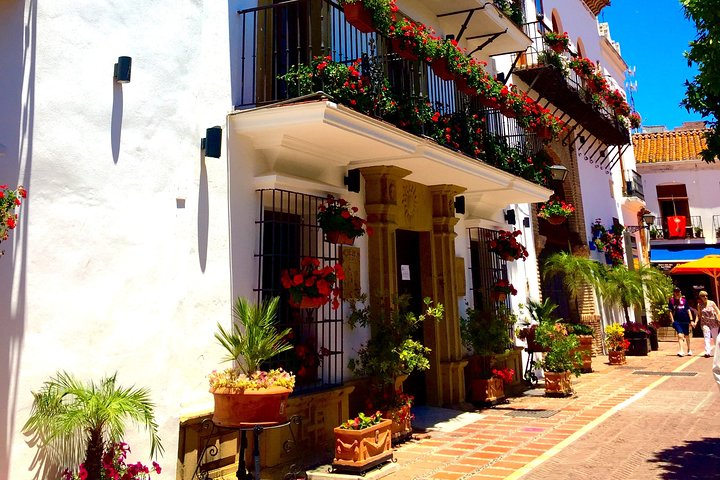 Malaga Shore Excursion: Malaga highlights & Marbella small-group  - Image 2