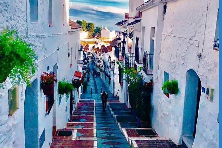 Malaga Shore Excursion: Malaga highlights & Mijas  - Image 1