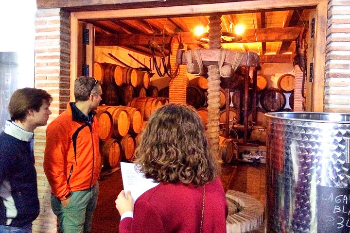 Malaga Shore Excursion: Panoramic Buggy Tour with Wine Tasting in a Historical Cellar - Image 5