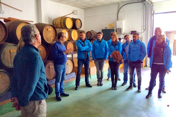 Malaga Shore Excursion: Panoramic Buggy Tour with Wine Tasting in a Historical Cellar - Image 3