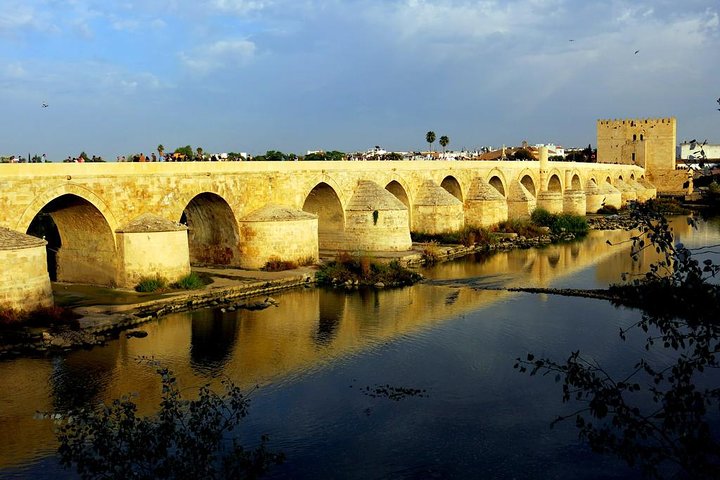 Private 10-hour tour to Cordoba from Malaga Hotel pick up and drop off - Image 5