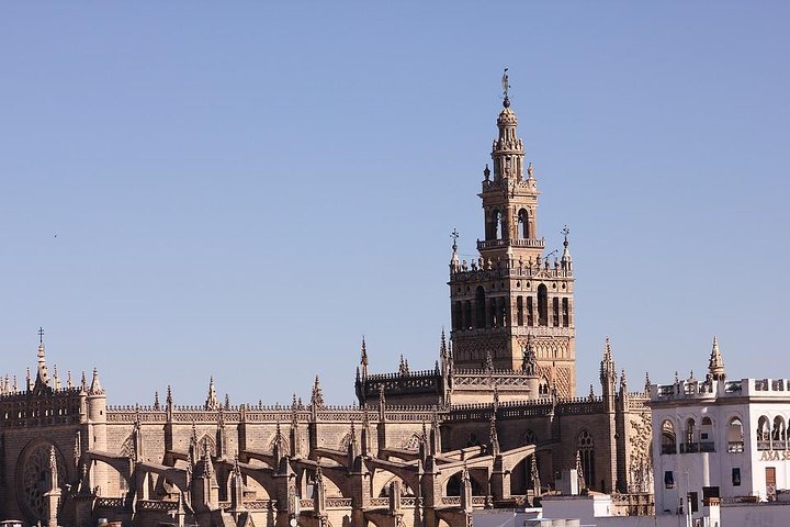 Private 12-Hour Tour to Sevilla from Malaga with Hotel pick up - Image 4