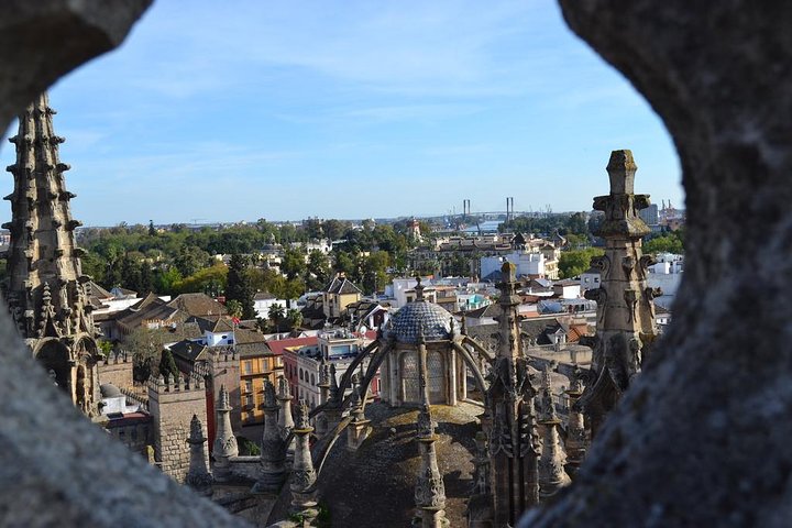 Private 12-Hour Tour to Sevilla from Malaga with Hotel pick up - Image 3
