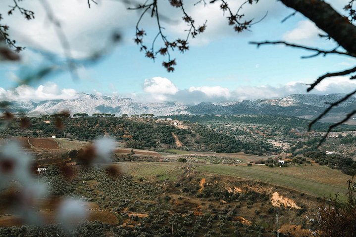Private Day Trip to soaring over the abyss Ronda city & the white village Mijas - Image 4
