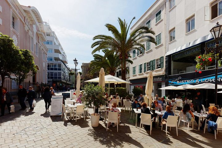 Private Full Day Tour of Gibraltar from Malaga or Marbella - Image 2