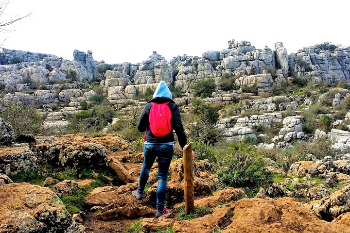 Private hiking in El Torcal from Marbella or Malaga - Image 4