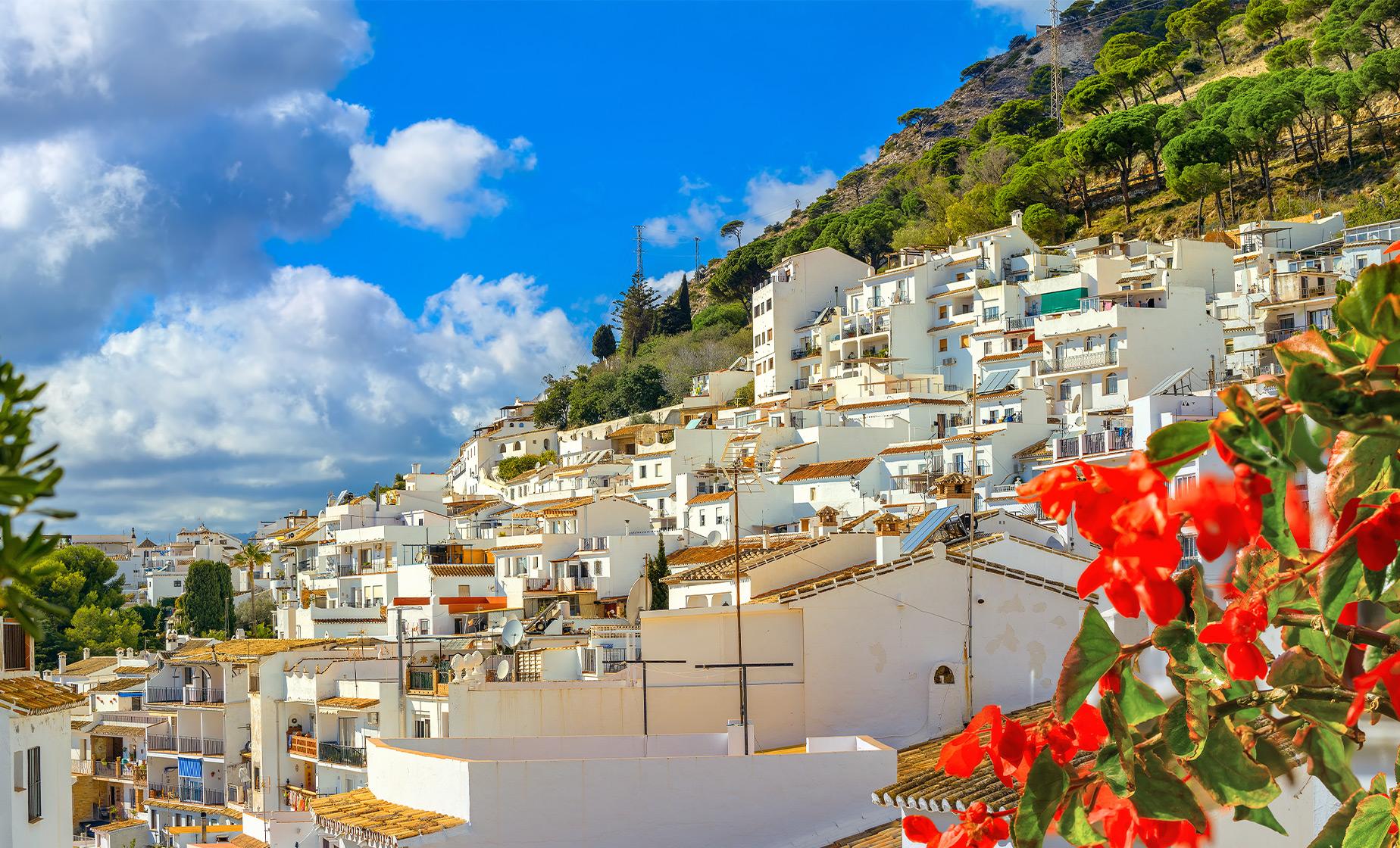 Private Malaga and Mijas - Image 1
