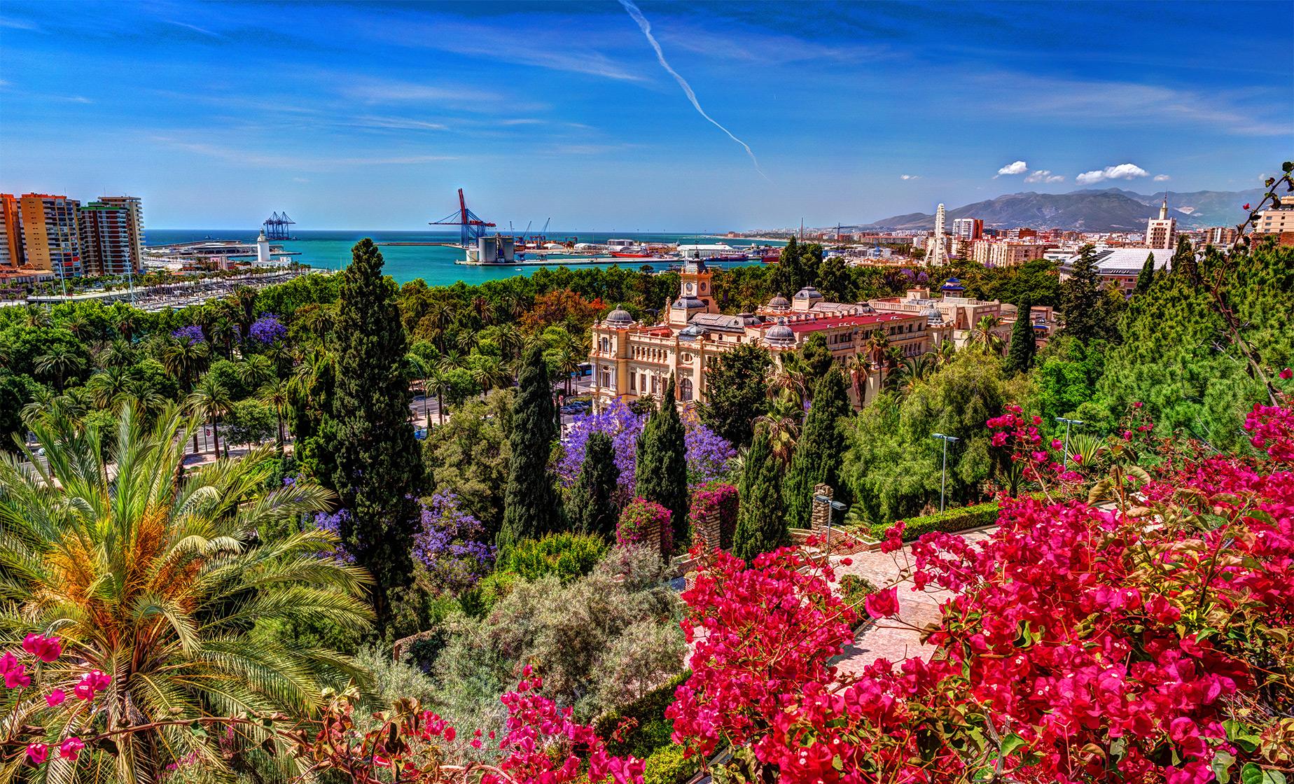 Private Malaga, The Picasso Connection - Image 1