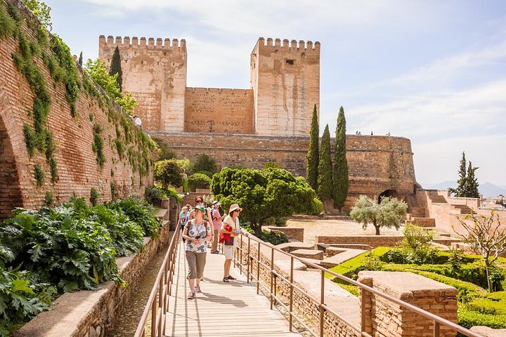 Private tour from Malaga to the Alhambra Palace and Granada for up to 8 persons - Image 5